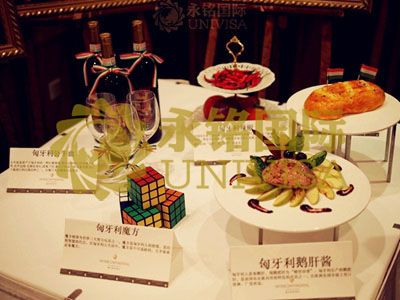 匈牙利移民活動(dòng)